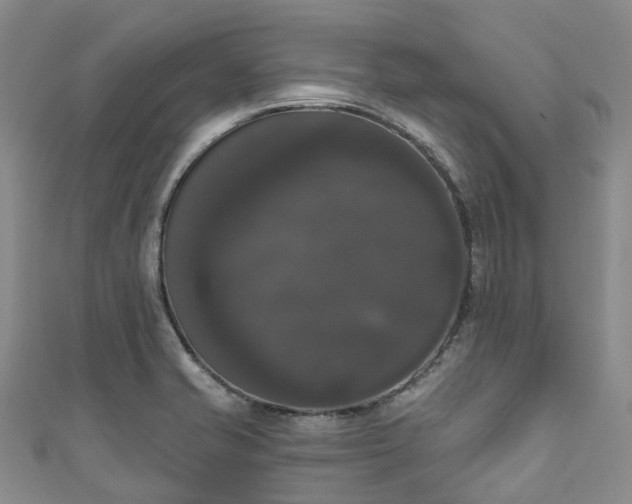 X0000111021421200906261531