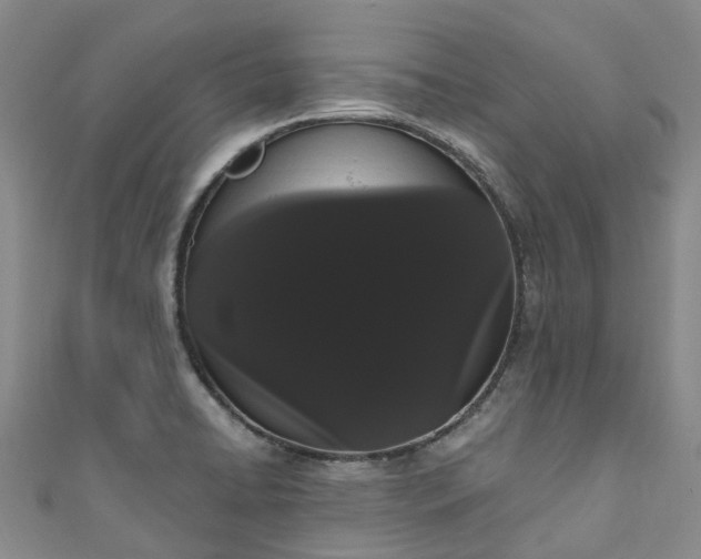 X0000111021422200906261531