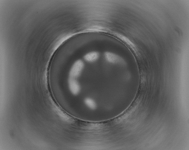 X0000111021423200906261531