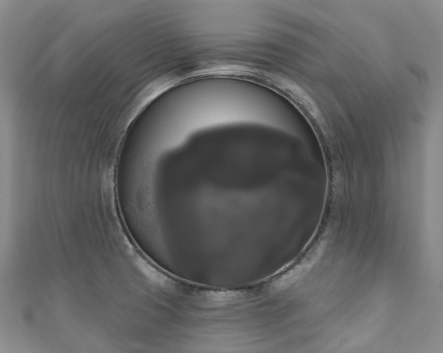 X0000111021425200906261531