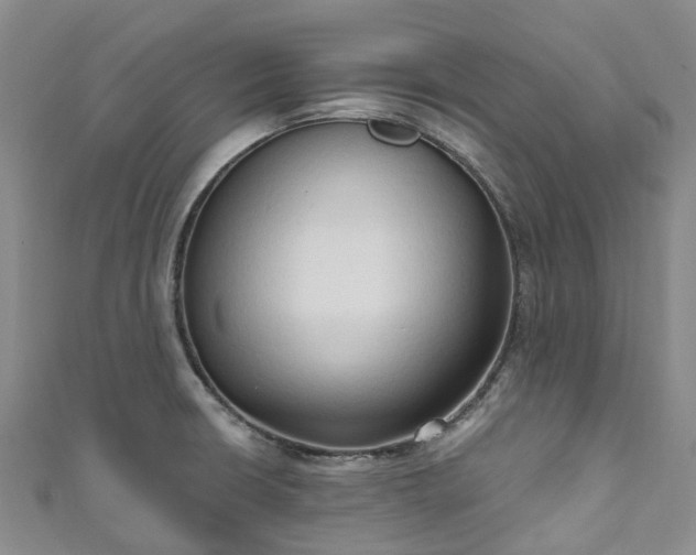 X0000111021426200906261531