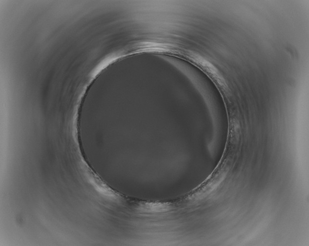 X0000111021427200906261531