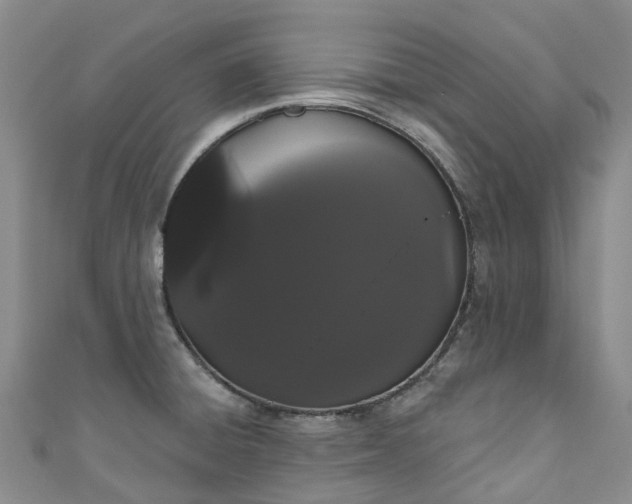 X0000111021428200906261531