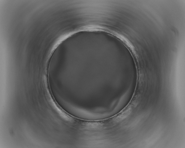 X0000111021429200906261531