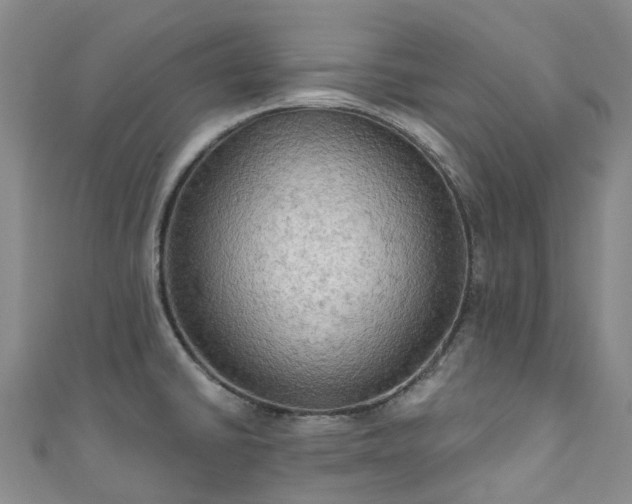 X0000111021430200906261531
