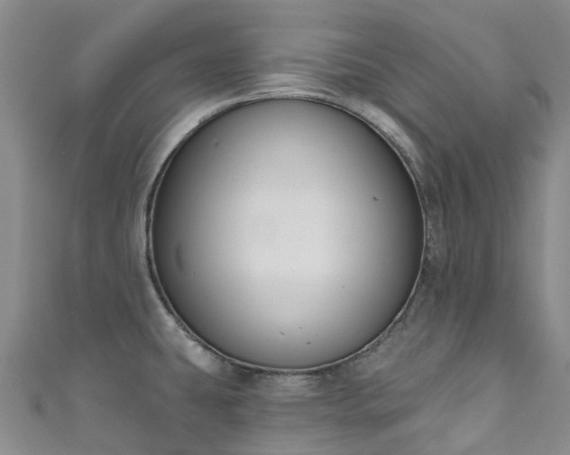 X0000111021431200906261531