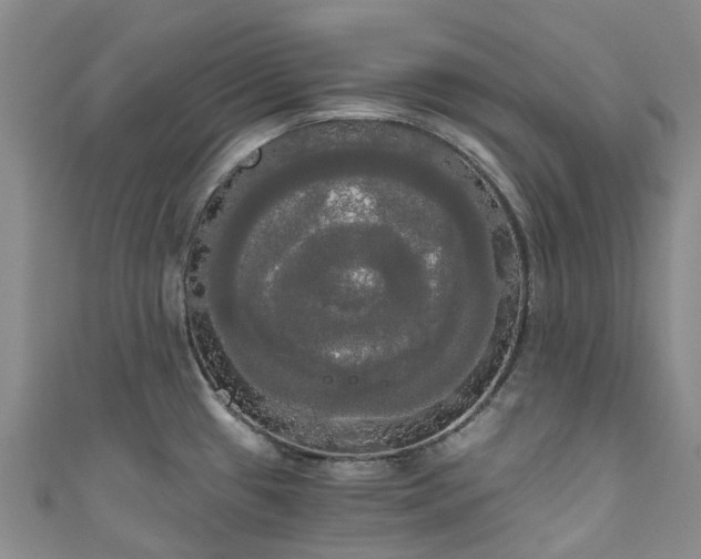 X0000111021433200906261531