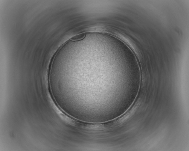 X0000111021434200906261531