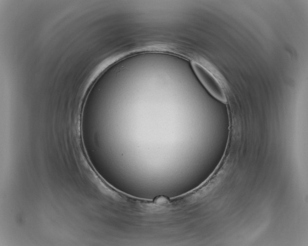 X0000111021436200906261531