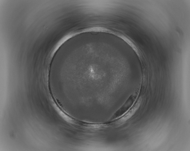 X0000111021438200906261531