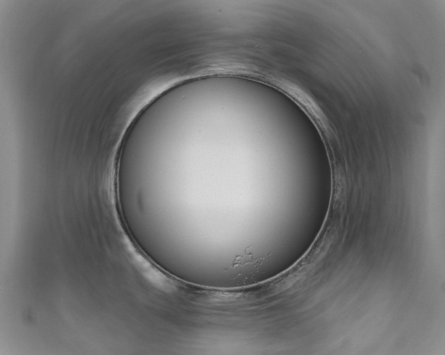 X0000111021439200906261531