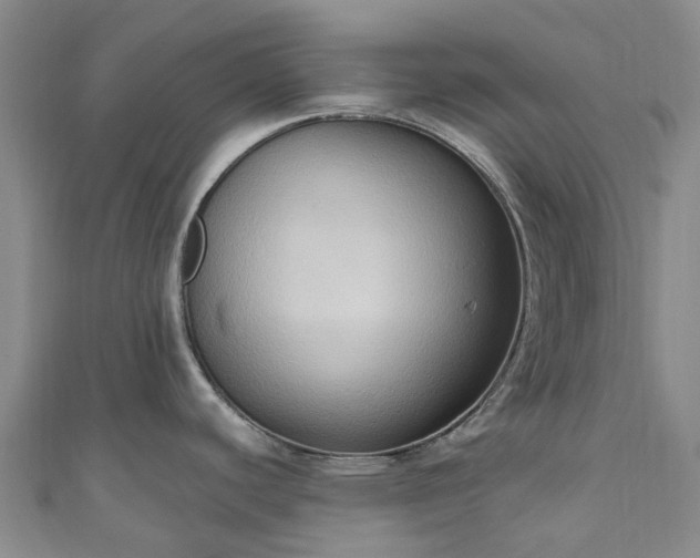 X0000111021440200906261531