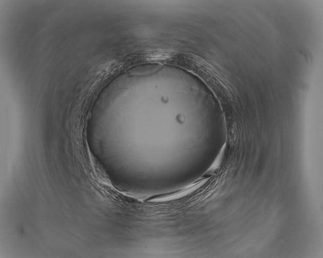 X0000111021441200906261531