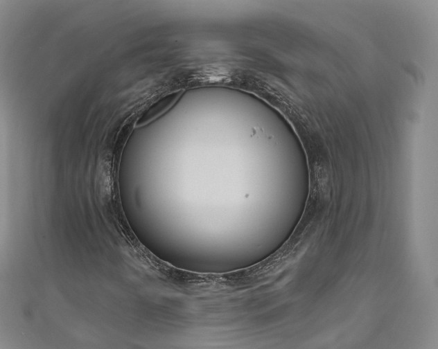 X0000111021442200906261531