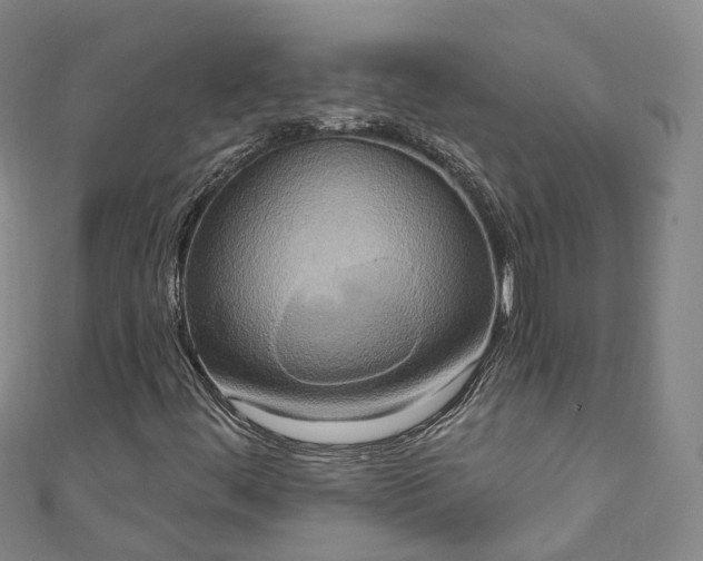 X0000111021444200906261531