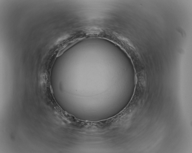 X0000111021445200906261531