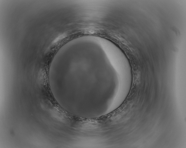 X0000111021446200906261531