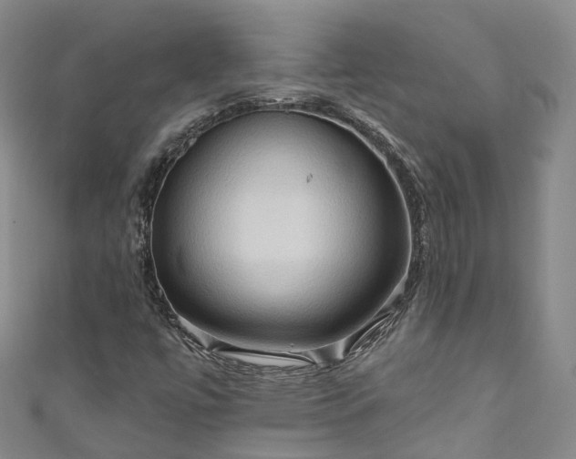 X0000111021447200906261531