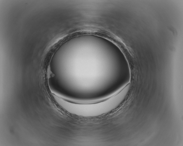 X0000111021448200906261531