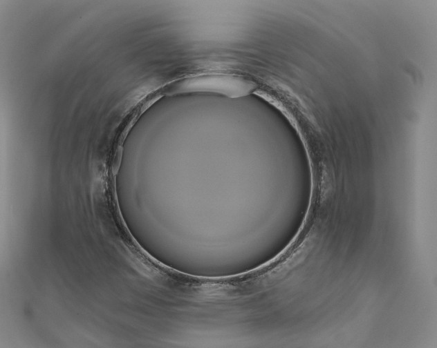 X0000111021449200906261531
