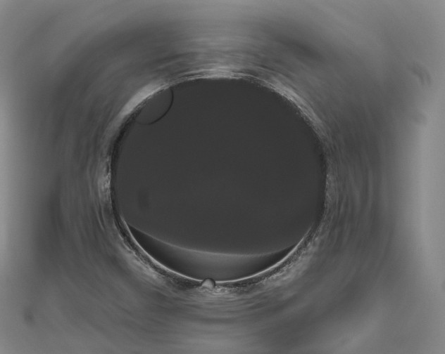 X0000111021450200906261531