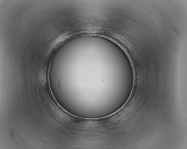 X0000111021451200906261531