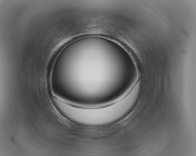 X0000111021452200906261531