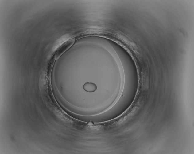 X0000111021453200906261531