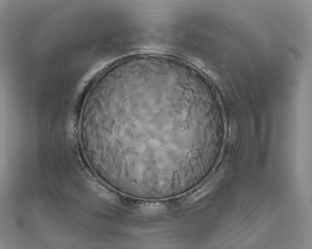 X0000111021454200906261531