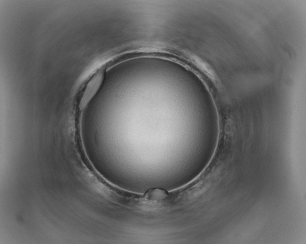 X0000111021456200906261531