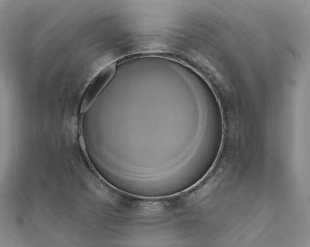 X0000111021457200906261531