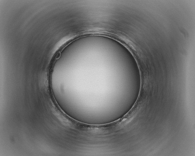 X0000111021458200906261531