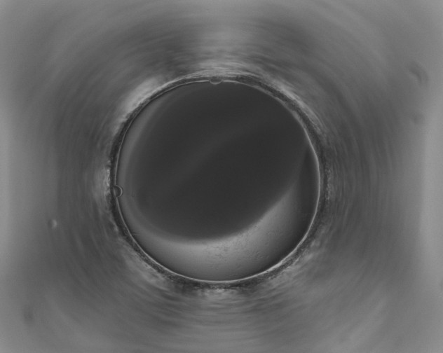 X0000111021459200906261531