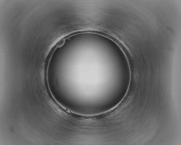 X0000111021460200906261531