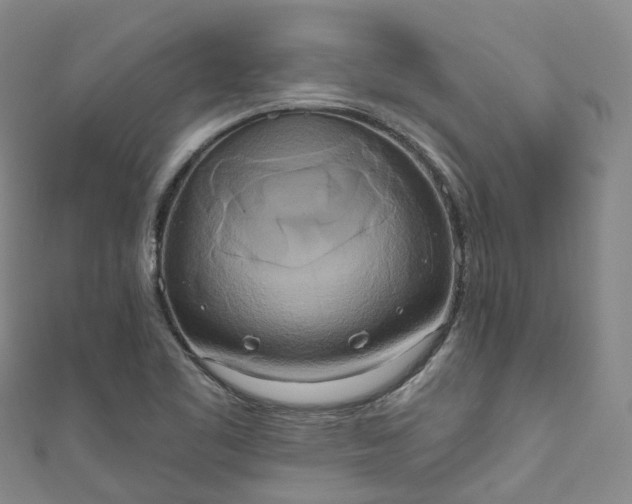 X0000111021461200906261531
