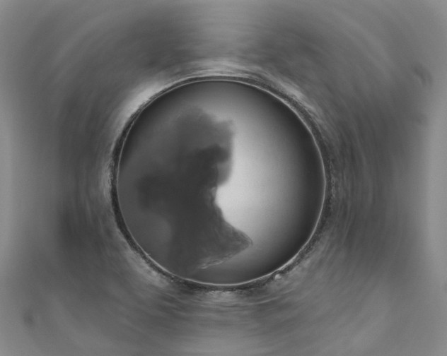 X0000111021463200906261531
