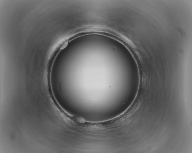 X0000111021464200906261530