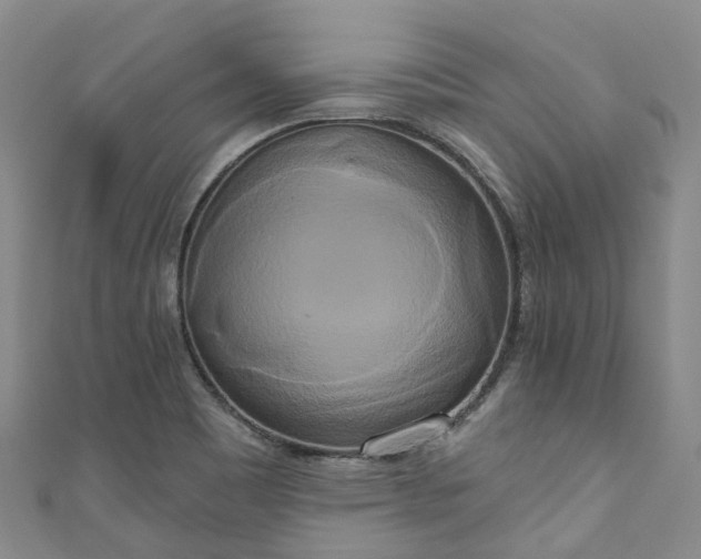 X0000111021465200906261530