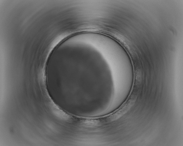 X0000111021466200906261530