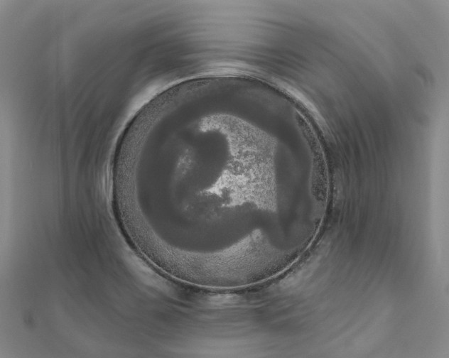 X0000111021467200906261530