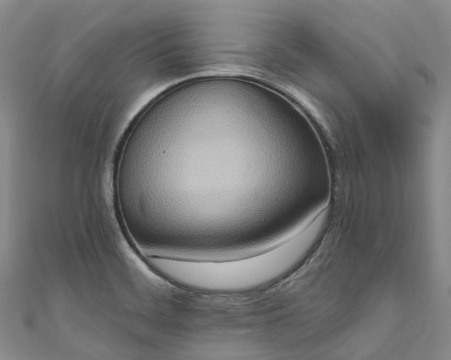 X0000111021468200906261530