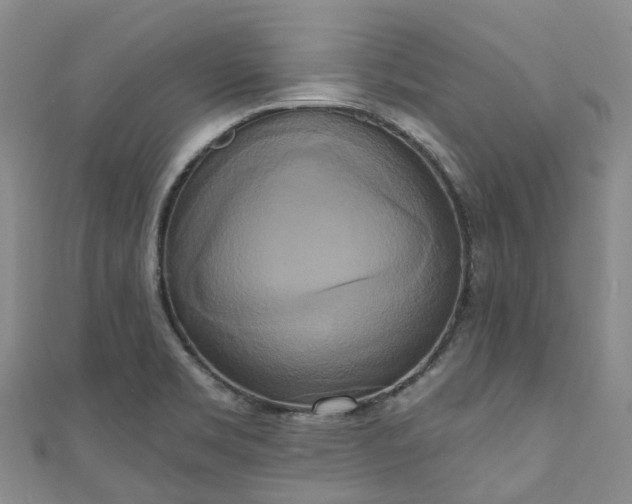 X0000111021469200906261530