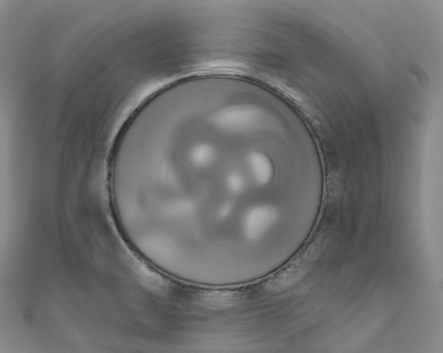 X0000111021470200906261530