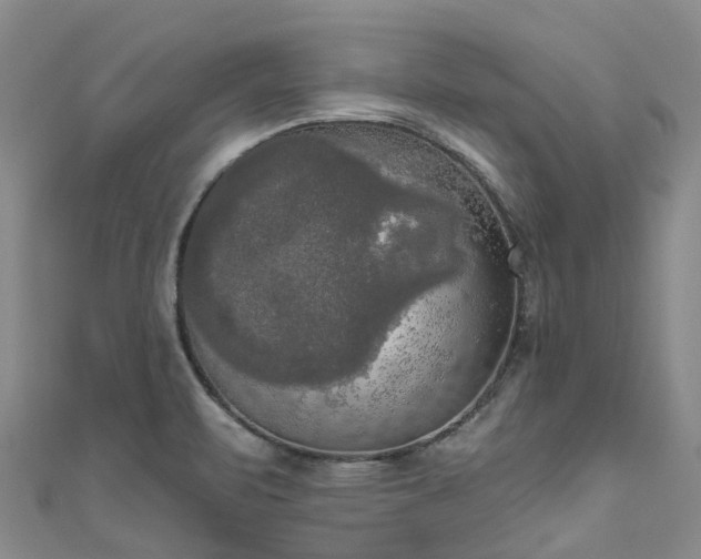 X0000111021471200906261530