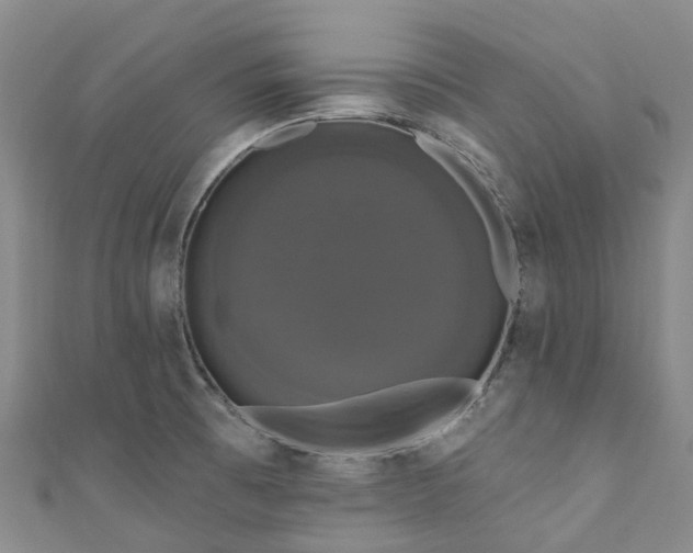 X0000111021473200906261530