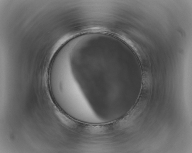 X0000111021474200906261530
