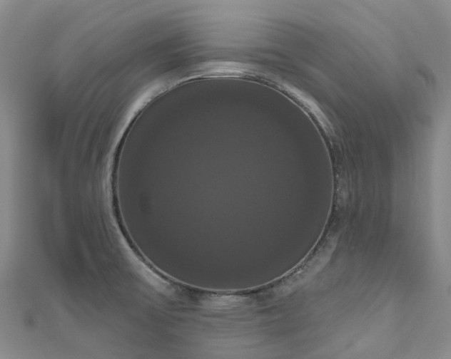 X0000111021475200906261530