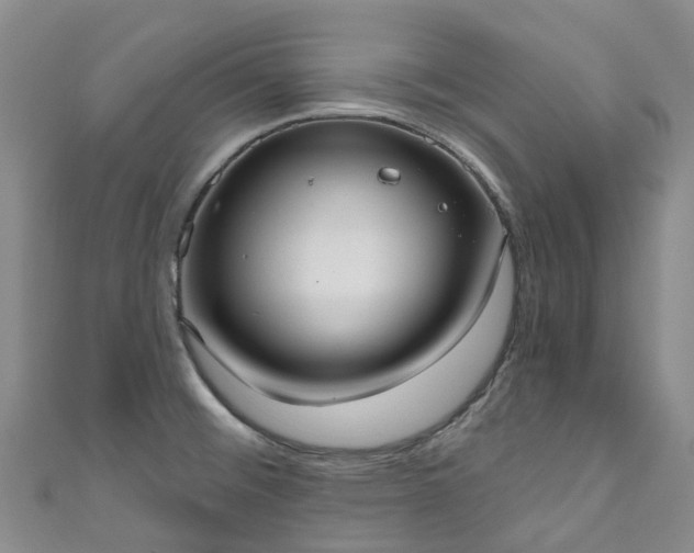 X0000111021476200906261530