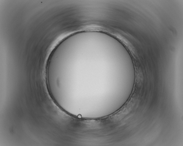 X0000111021478200906261530
