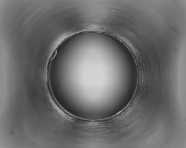 X0000111021479200906261530